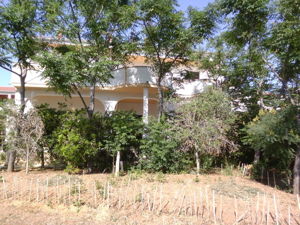 Apartments Kresimir Beauty With Shadow Trees And Parking Place Pag Town Exteriér fotografie