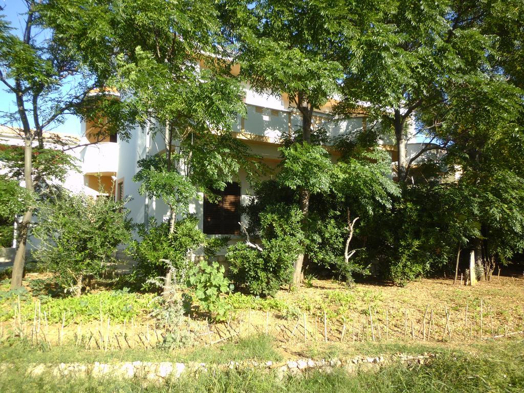 Apartments Kresimir Beauty With Shadow Trees And Parking Place Pag Town Pokoj fotografie