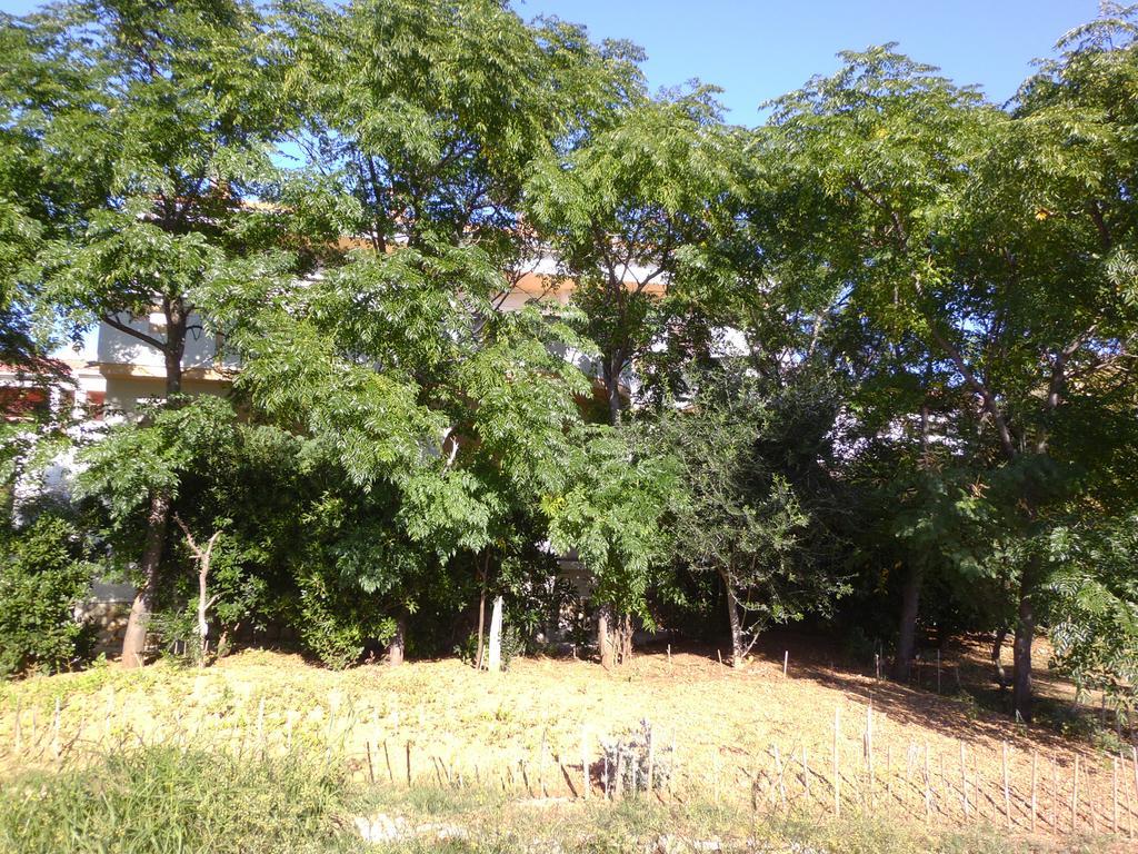 Apartments Kresimir Beauty With Shadow Trees And Parking Place Pag Town Exteriér fotografie