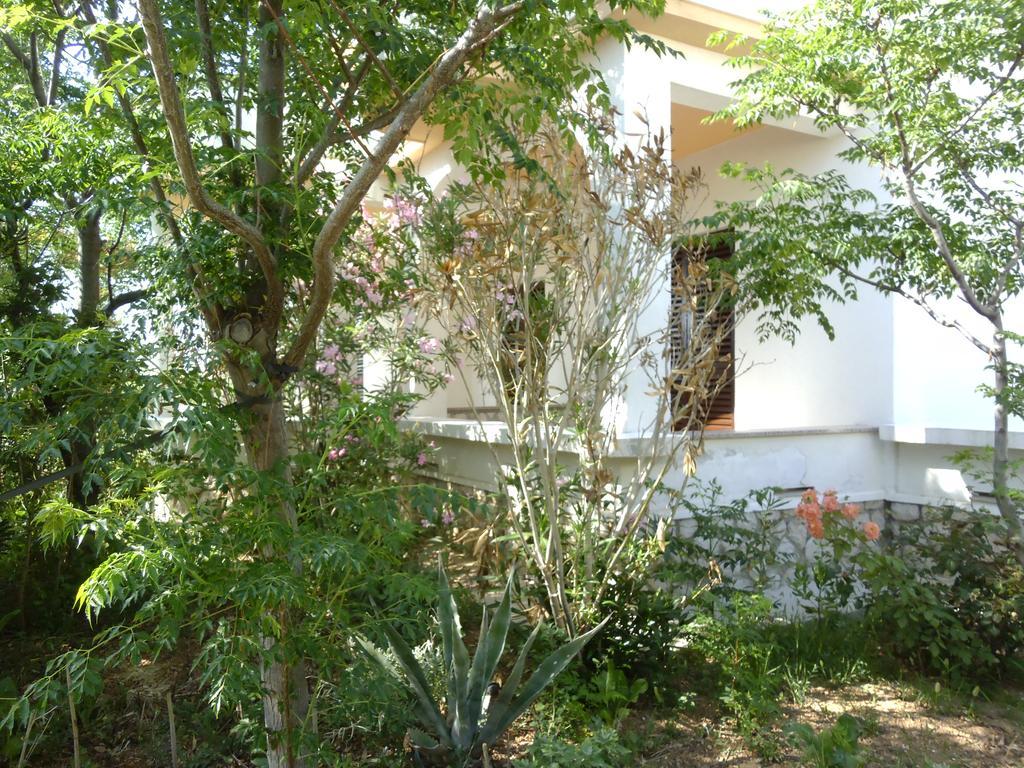 Apartments Kresimir Beauty With Shadow Trees And Parking Place Pag Town Pokoj fotografie