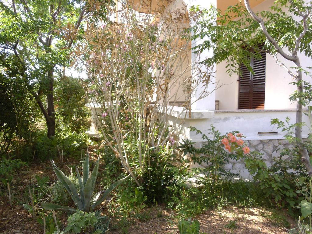 Apartments Kresimir Beauty With Shadow Trees And Parking Place Pag Town Pokoj fotografie